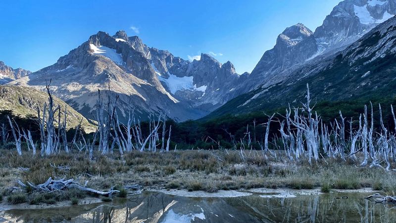 Paisaje de montañas patagónicas reflejadas en una laguna, con vegetación nativa en primer plano