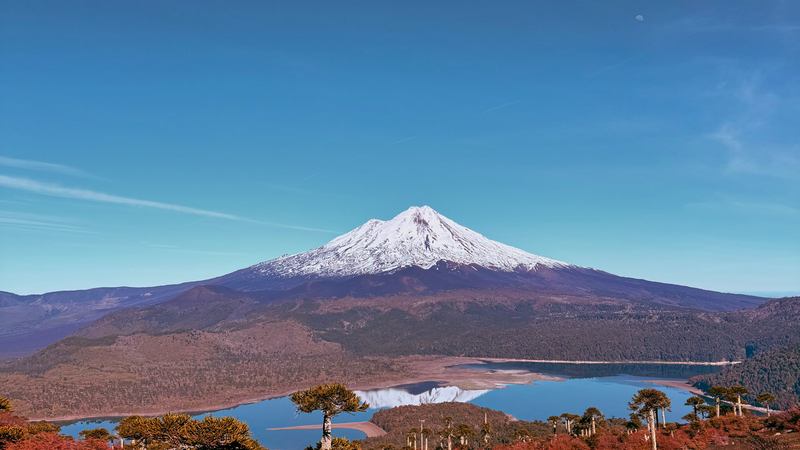 Volcán Llaima nevado reflejado en el Lago Conguillío, con bosque de araucarias en tonos otoñales en primer plano